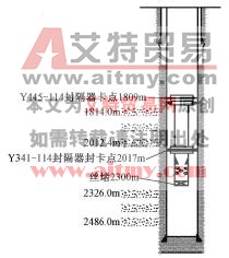 丢手后堵水管柱示意
