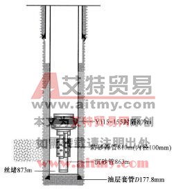 设计防砂管柱结构示意图