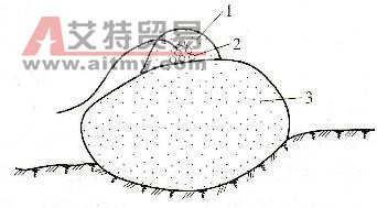 裸露药包爆破 - 艾特贸易网 www.aitmy.com