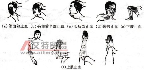 指压点止血控制范围